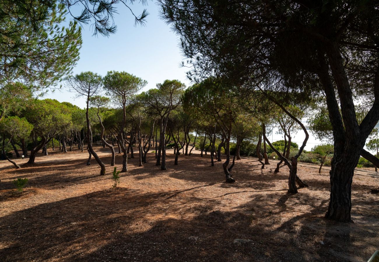 Villa in Ferragudo - Monte da Bela Vista by SAPvillas